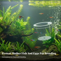 Aquatic Breeder Box Good Water Circulation Aquatic Breeding Box Guppy Breeding Enclosure Anti-Tip Design Easy to Clean