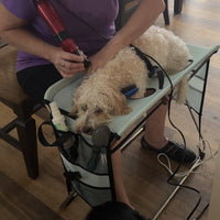 Pet Grooming Hammock with Stand, Foldable Stainless Steel