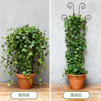 跨境植物攀爬架 植物支撑架 蝴蝶小鸟花架爬藤架园艺拆装固定杆