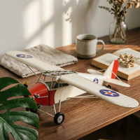 Propeller Airplane Model Collectible Metal Airplane Model Rustic Plane Ornament for Office