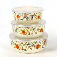 Enamel Food Storage Bowl Set with Lids, Sealed, for Refrigerator, Portable Five-Piece Set