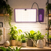 Quantum Board Grow Light Hanging Design 120W LED Grow Light Energy Saving