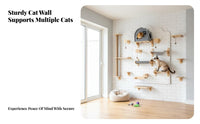 configurable Pegboard Cat Wall DIY Combination configurable Cat Climbing System Space-Saving Pet Furniture for Apartment Dwellers, Indoors, Living Room, Bedroom