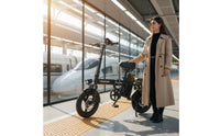 Portable Folding Electric Bike Double Disc Brakes Small Folding Electric Bike Compact Adult Electric Bicycle