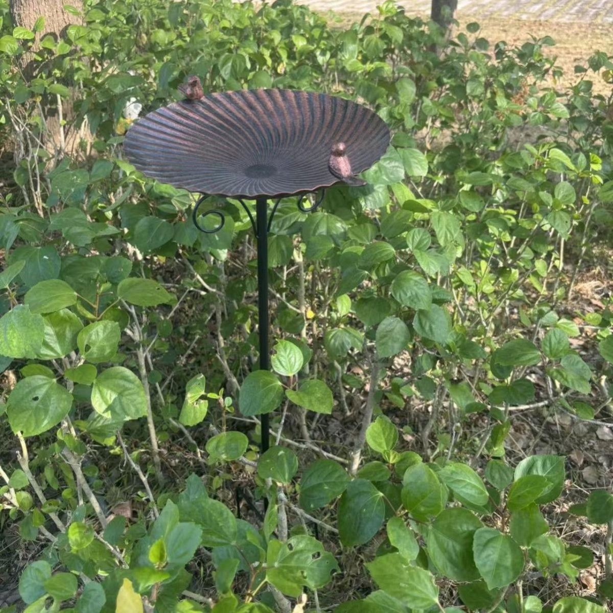 Freestanding Bird Bath Vintage Design Freestanding Bird Water Basin