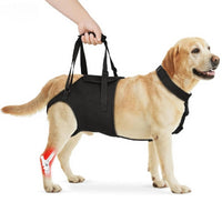 Pet Rear Leg Support Aid for Elderly Paralyzed Dogs