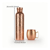 Vacuum Insulated Bottle with Cup Double-Walled Insulated Water Bottle for Travel