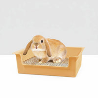 Mesh Tray Litter Box Sturdy Plastic Bunny Potty Tray Even Edges