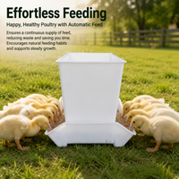 30kg Chicken Feeder, Automatic Poultry Feeder with Arch Design, Sun Resistant PP Duck & Chick Dispenser, 63x45x37cm