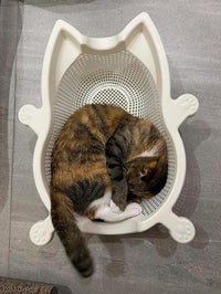 加厚舒适可抓降温PP耐透气猫床猫窝夏季水洗凉爽菜篮子垫子宠物窝