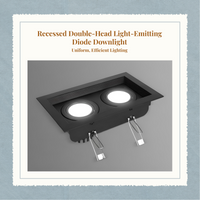 Adjustable double LED downlight