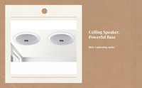 Ceiling stereo speaker for home use