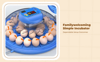 Egg incubator with auto turner