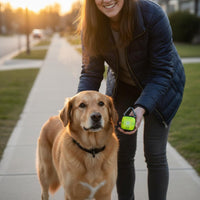 Rechargeable Dog Walking Light Long Battery Life LED Pet Collar Light
