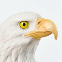 Eagle Statue Sculpture for Living Room, Detailed Eagle Figurine for Home Office Desk, Realistic Resin Eagle Ornament, Housewarming Gift Eagle Statue