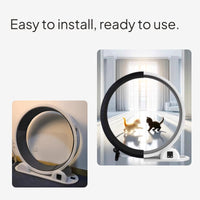 Cat Exercise Wheel, Quiet Treadmill, Pet Fitness Toy