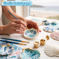 20 Natural White Scallop Shells for Crafts, Baking, Painting, DIY
