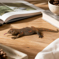 Realistic Soft Silicone Lizard and Insect Animal Models for Kids