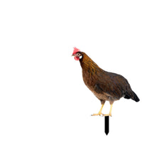 Chicken Garden Stake Outdoor Chicken Yard Art Cute for Flower Bed