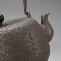 Tetsubin Uncoated Iron Kettle Stovetop Safe for Home Kitchen, Tea Lovers