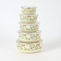 Enamel Food Storage Bowl Set with Lids, Sealed, for Refrigerator, Portable Five-Piece Set