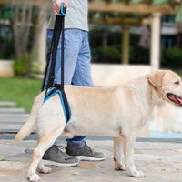 Hind Leg Support Harness Stair Assistance Rear Leg Support Harness for Stairs