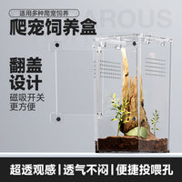 Acrylic Reptile Breeding Box for Spiders, Transparent Viewing Enclosure
