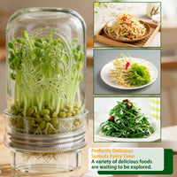 Glass Sprouting Jar Set Food Grade Mason Jar Sprout Kit Easy Drainage