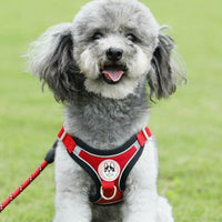 Small Dog Harness with Leash, Solid Color Polyester Chest Strap and Flat Rope Walking Set, Easy Control Outdoor Training for Small Pets