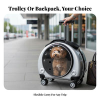 versatile dome opening Pet Trolley Multiple Ventilation Holes for veterinary clinic Visits