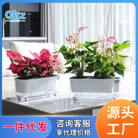 欧林泽工厂一件代发G格瑞塔全透明自吸水懒人花盆双层吸水盆现货
