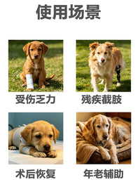 狗狗辅助带老龄犬上楼腿部背带走路狗腿护残疾疾复带跨境代发XJ