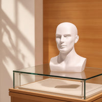 Male Mannequin Head with Shoulders Realistic Mannequin Head with Shoulders Matte for Shop Display, Window Decoration, Salon