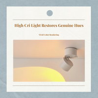 Flush Mount LED Spotlight, Adjustable Projection Accent Light