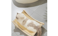 Solid Wood Structure Wooden Cat Scratcher Bed All Seasons Use Pet Furniture for Kittens