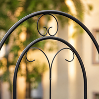 Garden Trellis, For Roses, Training, For Climbing Roses, Iron Fence, 50cm x 120cm, Metal Trellis
