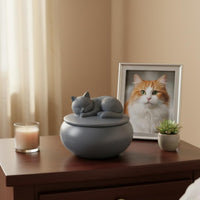 Feline Remains Box Artisanal Feline Urn Hidden Storage for Desktop