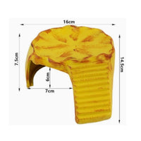Step Ledge and Cave Hideout Textured Decor Naturalistic for Small Reptiles