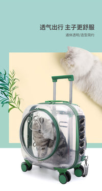 Transparent Pet Carrier Backpack