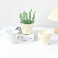 Mini Vintage Iron Bucket Flower Pot for Succulents, Desktop Decor