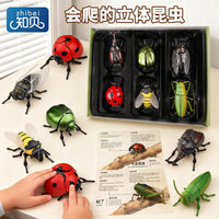 跨境儿童仿真昆虫模型立体益智动物玩具早教认知男孩礼物螳螂发条