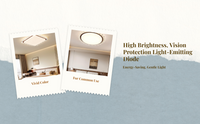 Dimmable LED ceiling light