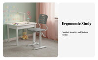 Ergonomic Splitspinerest Chair Height Adjustable children's Furniture Support Breathable pad for Students, Teenagers