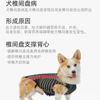 跨境狗狗背部支撑背心椎间盘保护康复辅助背部支撑架宠物服装批发