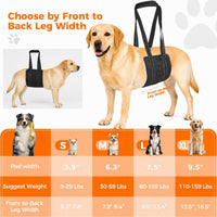 Pet Dog Walking Assistance Belt for Elderly or Injured Dogs