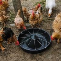 poultry feeder