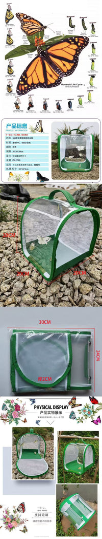 360-Degree Transparent Insect Cage, Portable, Foldable, Butterfly Habitat