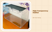 Gecko mini terrarium enclosure