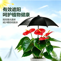 Miniature Plant Shade Umbrella for Potted Plants, Waterproof