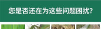 种菜防虫网种菜 农用防虫网农用蔬菜防虫网大棚地种菜专用网 纱网 2.5米宽5米长60目防虫网